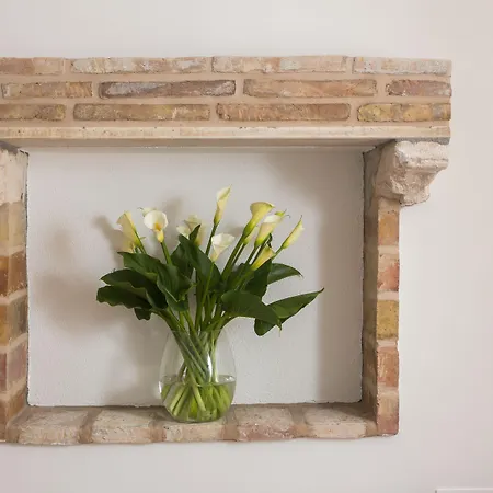 بيت ضيافة Bottega دوبروفينك